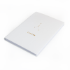 Star Sign White and Metallic Gold Lined Notebook