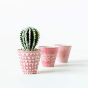 Pink Mini Planters