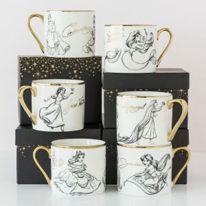 Disney Classic Princess Collectable Mug with Gift Box