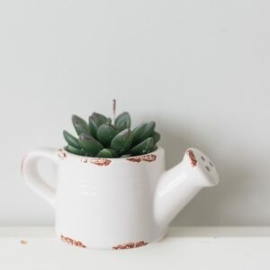 Cactus Candle In Ceramic Watering Can