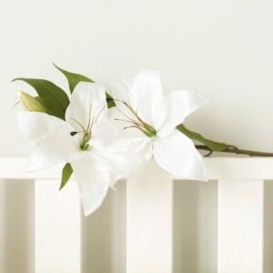 White Tiger Lily Stem