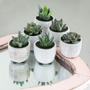 Set of 3 Cactus in Grey Pot